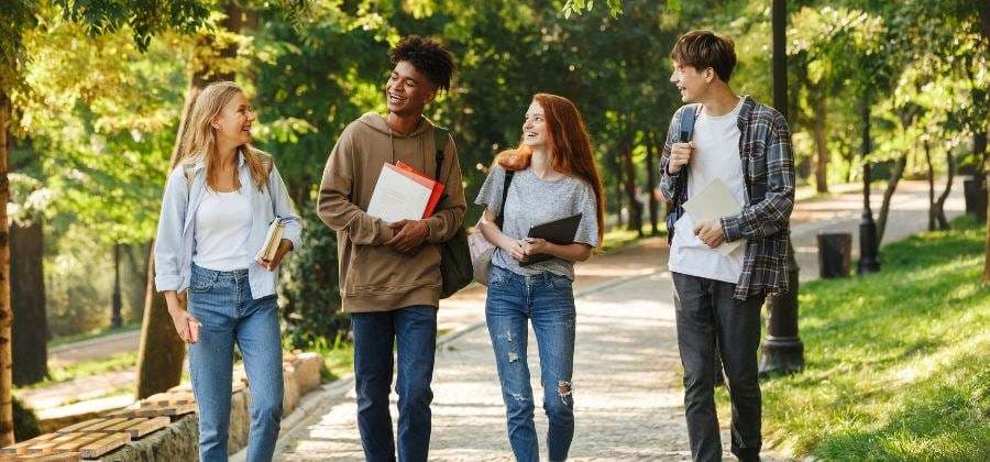 Most popular undergraduate courses in the UK